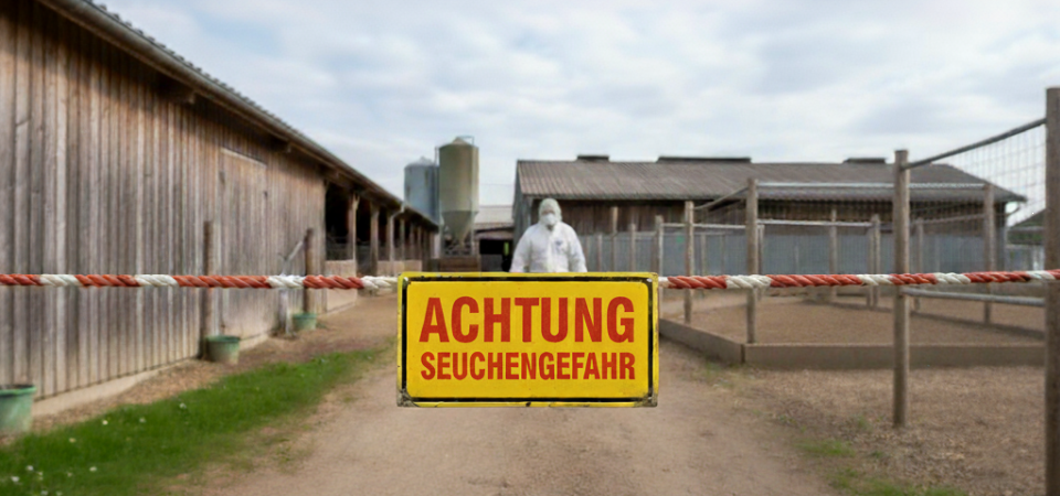 Infomrationen zur Vogelgrippe